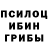 Галлюциногенные грибы Psilocybe SAZDY AYEN