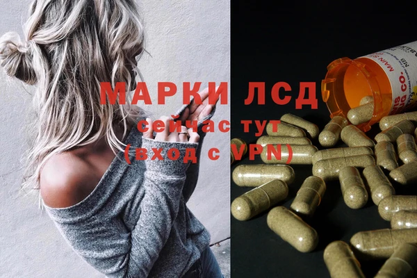 спиды Абаза